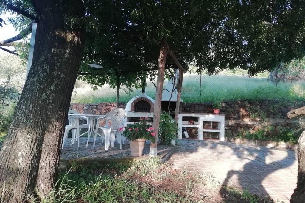La Vega *