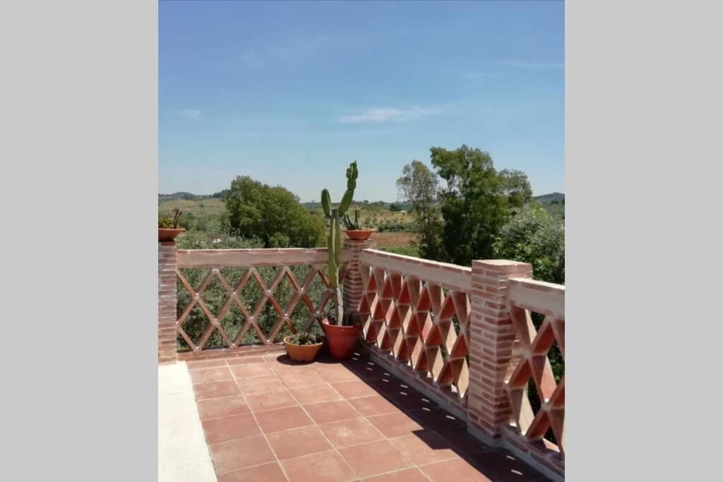 Casa vacanze La Vega *