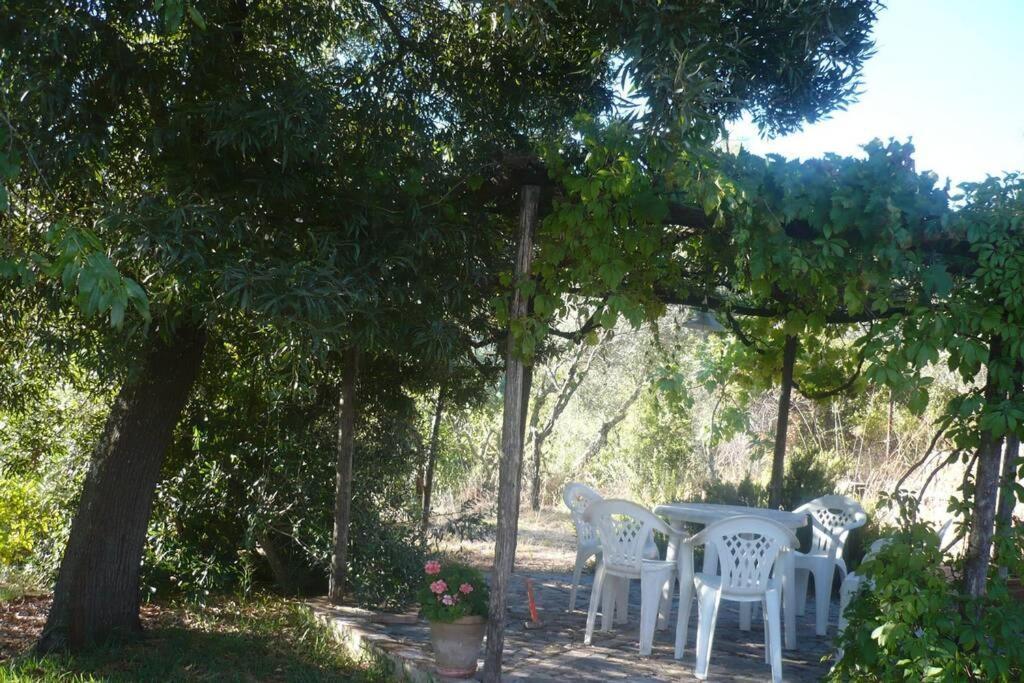 Casa vacanze La Vega *