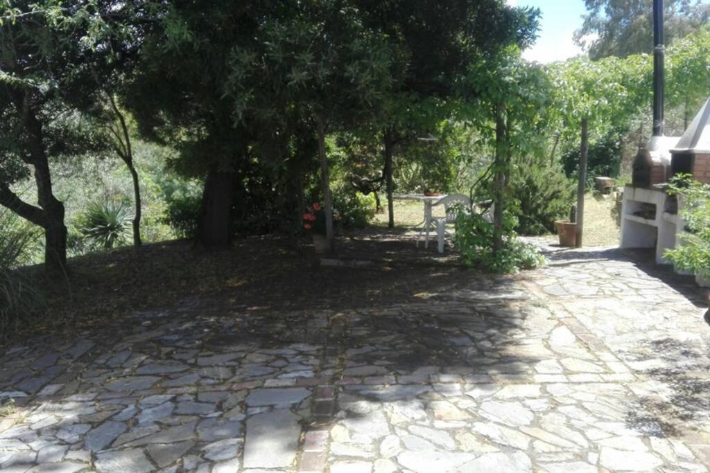 La Vega *